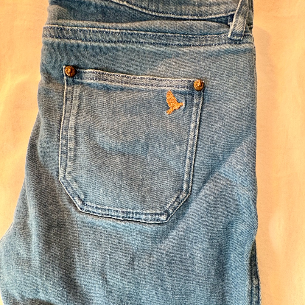 Mih Boutique Light Blue Skinny Jeans With Gold Bird Accent